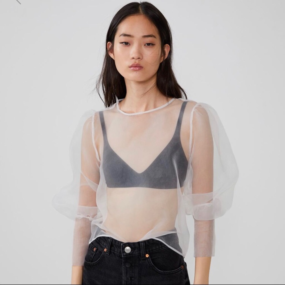 Zara organza blouse